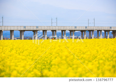 Hokuriku Shinkansen and Nanohana Hokuriku Shinkansen and Nanohana 138796777
