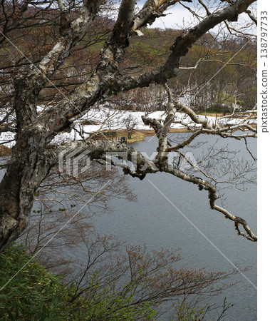 八幡平,秋田縣的清新綠意 八幡平,秋田縣的清新綠意 138797733