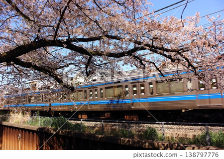 春天,一列南向的西武新宿線列車駛過武藏關站附近的一排櫻花樹(5) 春天,一列南向的西武新宿線列車駛過武藏關站附近的一排櫻花樹(5) 138797776
