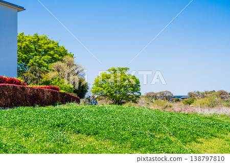 春天風景 138797810