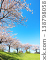 Cherry blossoms in Oshima Komatsugawa Park 138798058