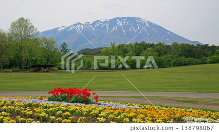 岩手縣Koiwai農場 岩手縣Koiwai農場 138798067
