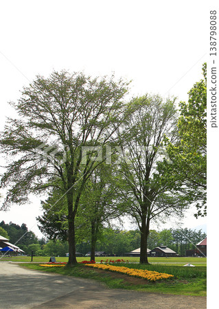 岩手縣Koiwai農場 岩手縣Koiwai農場 138798088