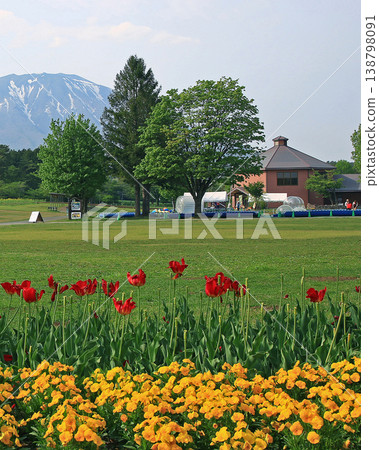 Koiwai Farm Iwate Prefecture Koiwai Farm Iwate Prefecture 138798091