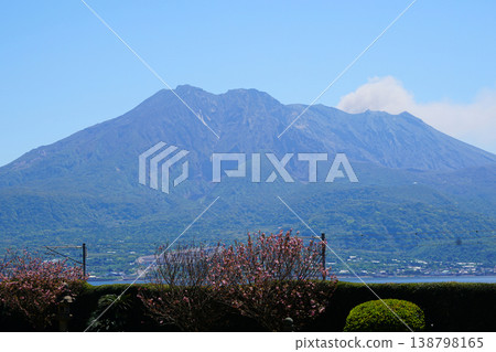 櫻島鹿兒島縣 櫻島鹿兒島縣 138798165