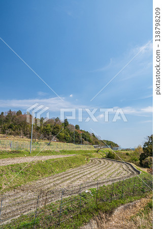 Springtime terraced rice field scenery, Ogi, Otsu City, Shiga Prefecture Springtime terraced rice field scenery, Ogi, Otsu City, Shiga Prefecture 138798209