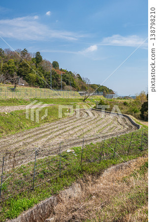 Springtime terraced rice field scenery, Ogi, Otsu City, Shiga Prefecture Springtime terraced rice field scenery, Ogi, Otsu City, Shiga Prefecture 138798210