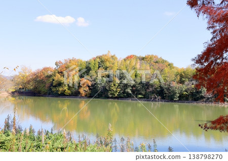 Autumn park, refreshing, yellow leaves, mixed forest 138798270