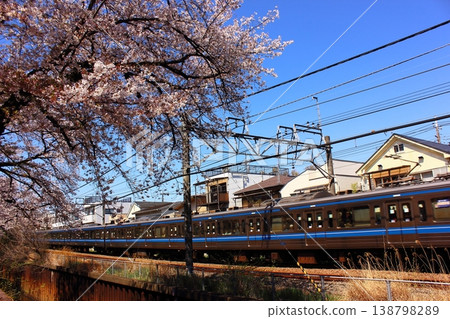 An inbound Seibu Shinjuku Line train passing through a row of cherry trees near Musashi-Seki Station in spring (7) An inbound Seibu Shinjuku Line train passing through a row of cherry trees near Musashi-Seki Station in spring (7) 138798289