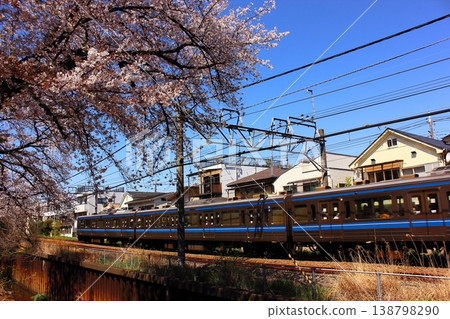 An inbound Seibu Shinjuku Line train passing through a row of cherry trees near Musashi-Seki Station in spring (8) An inbound Seibu Shinjuku Line train passing through a row of cherry trees near Musashi-Seki Station in spring (8) 138798290