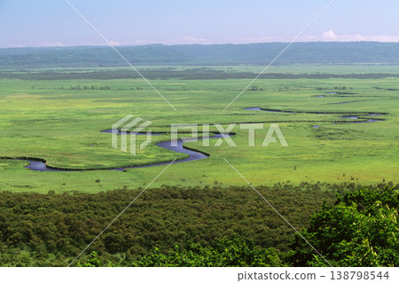 夏天的釧路沼澤(北海道鶴居村) 夏天的釧路沼澤(北海道鶴居村) 138798544