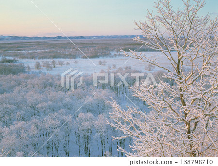 Snow-covered Kushiro Marshland (Shibecha Town, Hokkaido) Snow-covered Kushiro Marshland (Shibecha Town, Hokkaido) 138798710