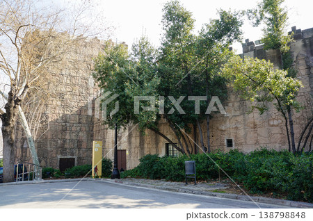 The beautiful exterior of the historic building and the lush green landscape surrounding it. The beautiful exterior of the historic building and the lush green landscape surrounding it. 138798848
