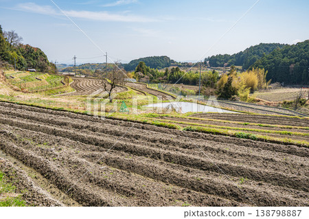 Springtime terraced rice field scenery, Ogi, Otsu City, Shiga Prefecture Springtime terraced rice field scenery, Ogi, Otsu City, Shiga Prefecture 138798887