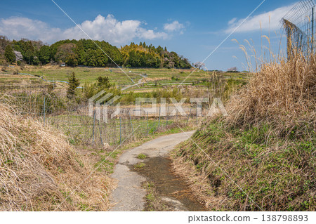 Springtime terraced rice field scenery, Ogi, Otsu City, Shiga Prefecture Springtime terraced rice field scenery, Ogi, Otsu City, Shiga Prefecture 138798893