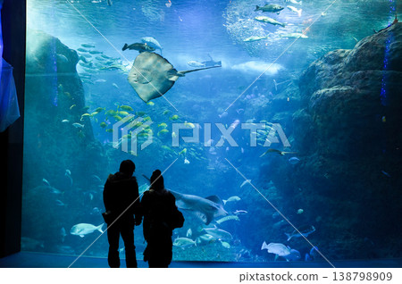 一對夫婦站在一個裝滿魚的魚缸前。 138798909