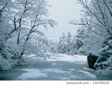 Shiretoko Five Lakes in the snow (Shiretoko, Hokkaido) Shiretoko Five Lakes in the snow (Shiretoko, Hokkaido) 138799185