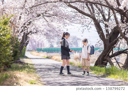 Elementary school children playing under the cherry blossoms Elementary school children playing under the cherry blossoms 138799272