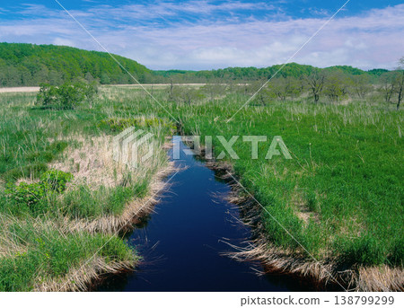 十勝海岸濕地(北海道大樹町) 十勝海岸濕地(北海道大樹町) 138799299