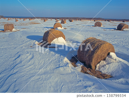 冬季乾草捆(北海道大樹町) 冬季乾草捆(北海道大樹町) 138799334