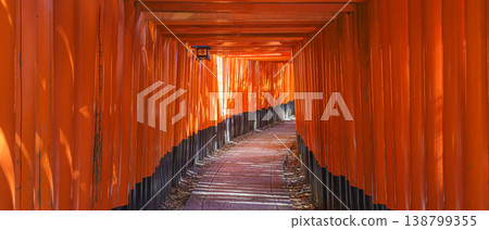 Kyoto, Japan - Sep 23 2024, Panoramic view of the corridor of the Senbon red Torii Gate at Fushimi Inari Temple, at daytime, without people, Kyoto, Japan Kyoto, Japan - Sep 23 2024, Panoramic view of the corridor of the Senbon red Torii Gate at Fushimi Inari Temple, at daytime, without people, Kyoto, Japan 138799355