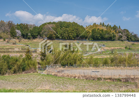 Springtime terraced rice field scenery, Ogi, Otsu City, Shiga Prefecture 138799448