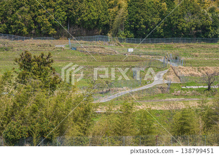 Springtime terraced rice field scenery, Ogi, Otsu City, Shiga Prefecture 138799451