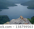 鹿別湖和蝦夷花栗鼠（北海道鹿葵町） 138799563