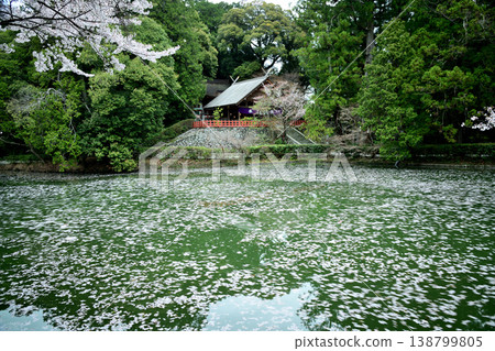 Takakamo Shrine [Gose City, Nara Prefecture] 138799805