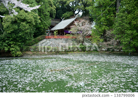 Takakamo Shrine [Gose City, Nara Prefecture] 138799806