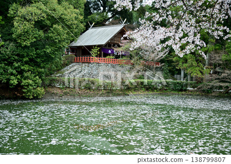 Takakamo Shrine [Gose City, Nara Prefecture] 138799807