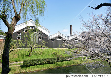 春天，一艘直黑船順著堀川河航行，伏見[京都府京都市伏見區]的清酒釀造廠 138799903