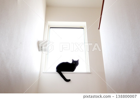 A black cat sitting by the window in a white space (minimalist, pet, with ample white space) A black cat sitting by the window in a white space (minimalist, pet, with ample white space) 138800007