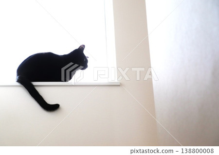 A black cat sitting by the window in a white space (minimalist, pet, with ample white space) A black cat sitting by the window in a white space (minimalist, pet, with ample white space) 138800008