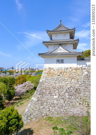 Akashi Castle, Akashi City, Hyogo Prefecture, where the cherry blossoms are in full bloom Akashi Castle, Akashi City, Hyogo Prefecture, where the cherry blossoms are in full bloom 138800323