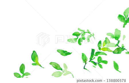 水彩畫。水彩風格的鮮嫩綠葉插畫。綠葉矢量邊框。 水彩畫。水彩風格的鮮嫩綠葉插畫。綠葉矢量邊框。 138800378