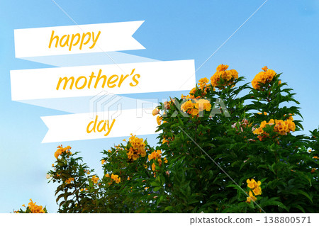 Celebrating mothers on May 10 with yellow flowers and cheerful messages Celebrating mothers on May 10 with yellow flowers and cheerful messages 138800571