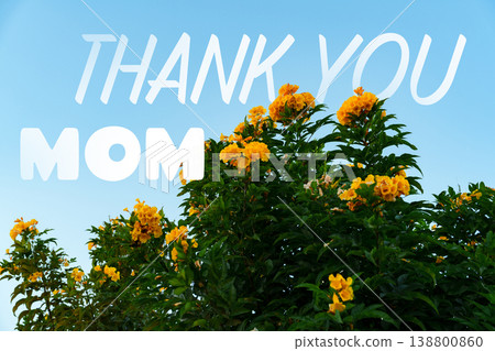Celebrating Mother's Day with yellow flowers in the sky on May tenth 138800860