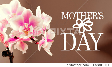 Celebrate Mothers Day with flowers on 10 May in a warm setting Celebrate Mothers Day with flowers on 10 May in a warm setting 138801011