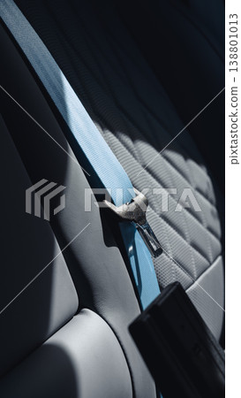Car seat belt in a vehicle during a bright day inside a parked car Car seat belt in a vehicle during a bright day inside a parked car 138801013