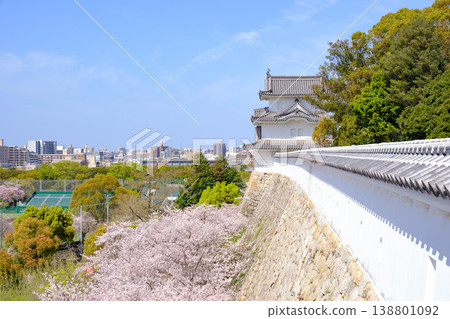 晴空之下，明石城的石牆和塔樓，以及明石市。 138801092