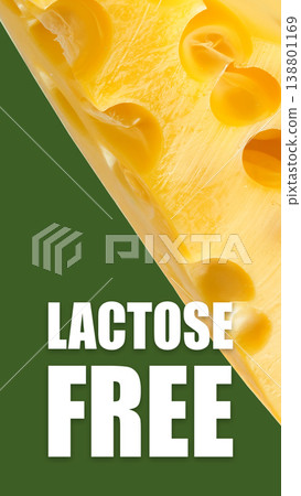 Delicious cheese made without lactose or gluten for everyone to enjoy at any gathering Delicious cheese made without lactose or gluten for everyone to enjoy at any gathering 138801169