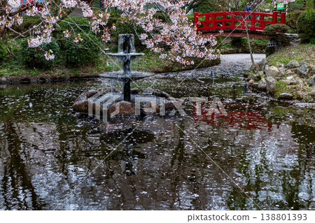 The fountain and pond with floating petals at Utsubuki Park, a famous cherry blossom viewing spot, and the scenery of cherry blossoms in full bloom. The fountain and pond with floating petals at Utsubuki Park, a famous cherry blossom viewing spot, and the scenery of cherry blossoms in full bloom. 138801393