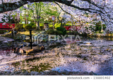 宇津吹公園是著名的賞櫻勝地,園內有噴泉和漂浮著花瓣的池塘,以及盛開的櫻花美景。 宇津吹公園是著名的賞櫻勝地,園內有噴泉和漂浮著花瓣的池塘,以及盛開的櫻花美景。 138801402