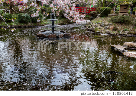 The fountain and pond with floating petals at Utsubuki Park, a famous cherry blossom viewing spot, and the scenery of cherry blossoms in full bloom. The fountain and pond with floating petals at Utsubuki Park, a famous cherry blossom viewing spot, and the scenery of cherry blossoms in full bloom. 138801412