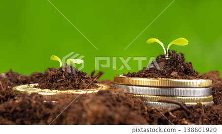 Plants grow from soil and coins to show the idea of investing in nature and money 138801920