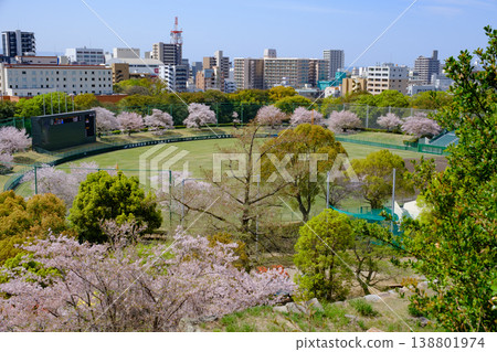 從兵庫縣明石城眺望明石市和棒球場 138801974