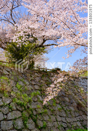 Akashi Castle stone walls and cherry blossoms in full bloom in Akashi City, Hyogo Prefecture Akashi Castle stone walls and cherry blossoms in full bloom in Akashi City, Hyogo Prefecture 138801975