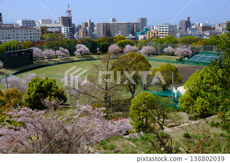 從兵庫縣明石城眺望明石市和棒球場 從兵庫縣明石城眺望明石市和棒球場 138802039