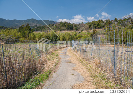 Terraced rice fields in Ogi, Otsu City; farm road between fences; Ogi, Otsu City, Shiga Prefecture 138802654